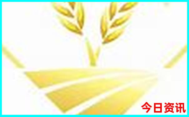 北京北海公园必去8个景点